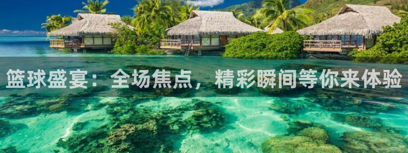 篮球盛宴：全场焦点，精彩瞬间等你来体验