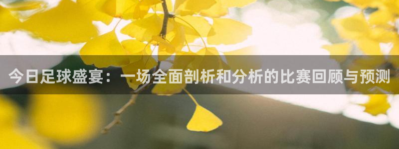 今日足球盛宴：一场全面剖析和分析的比赛回顾与预测