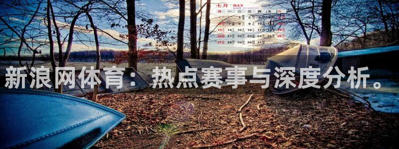 新浪网体育：热点赛事与深度分析。
