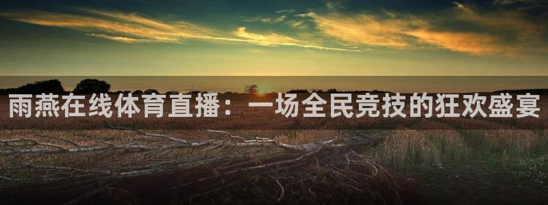 雨燕在线体育直播：一场全民竞技的狂欢盛宴