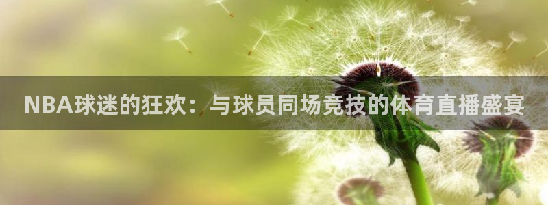 NBA球迷的狂欢：与球员同场竞技的体育直播盛宴