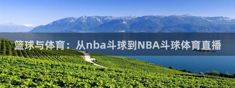 篮球与体育：从nba斗球到NBA斗球体育直播