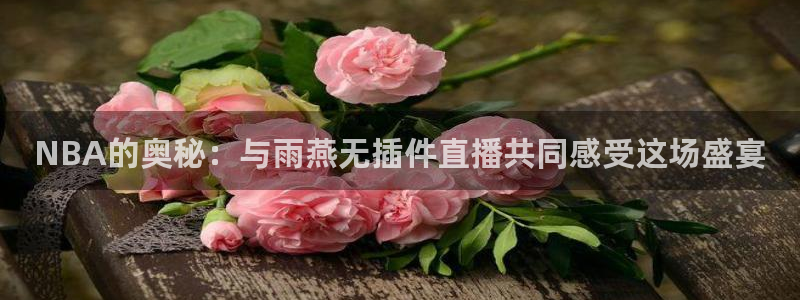 NBA的奥秘：与雨燕无插件直播共同感受这场盛宴