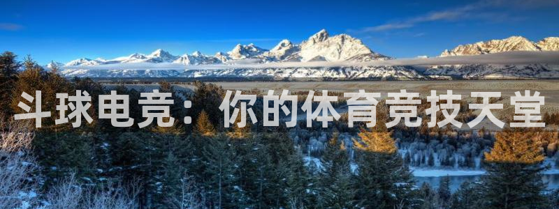 斗球电竞：你的体育竞技天堂