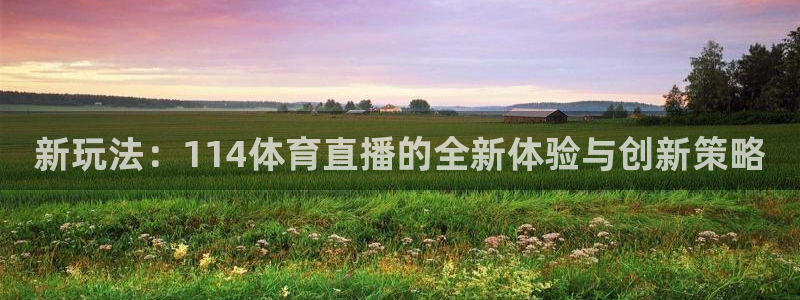 新玩法：114体育直播的全新体验与创新策略