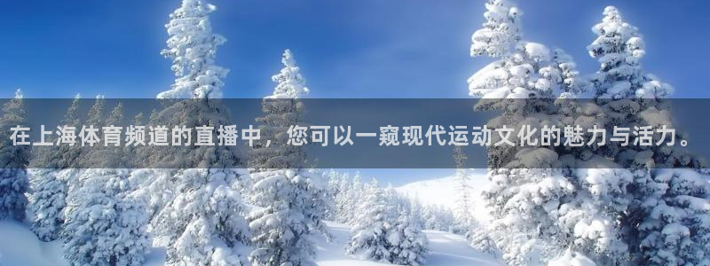 在上海体育频道的直播中，您可以一窥现代运动文化的魅力与活力。