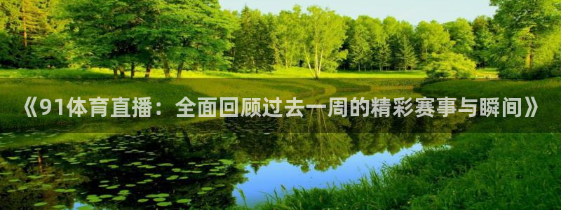《91体育直播：全面回顾过去一周的精彩赛事与瞬间》
