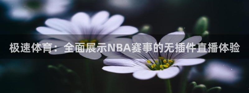 极速体育：全面展示NBA赛事的无插件直播体验