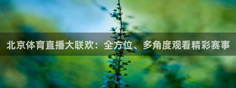 北京体育直播大联欢：全方位、多角度观看精彩赛事
