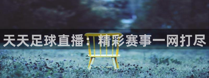 天天足球直播：精彩赛事一网打尽