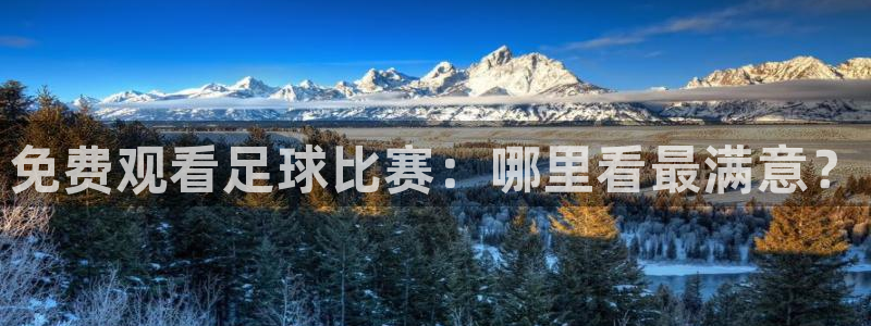免费观看足球比赛：哪里看最满意？