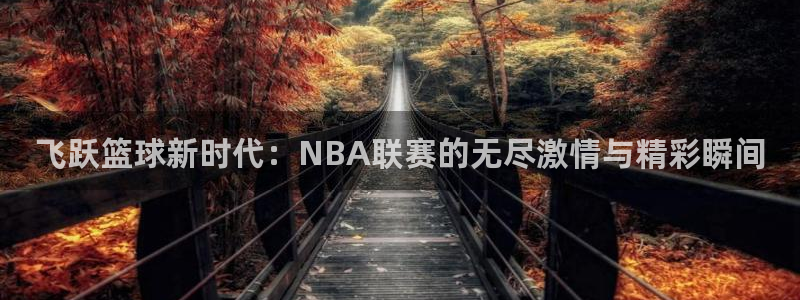 飞跃篮球新时代：NBA联赛的无尽激情与精彩瞬间