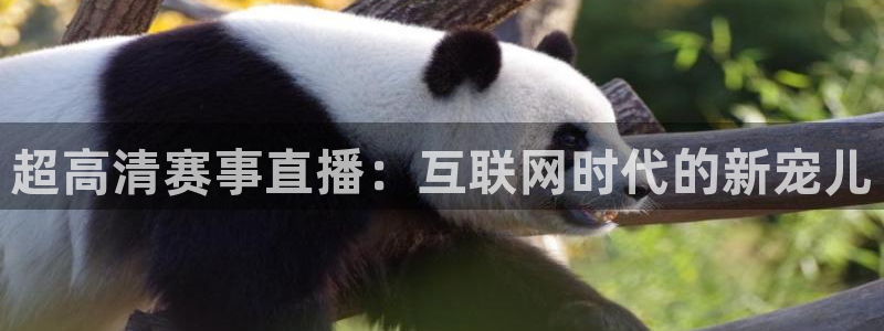 超高清赛事直播：互联网时代的新宠儿