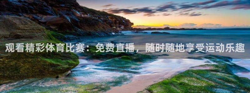 观看精彩体育比赛：免费直播，随时随地享受运动乐趣