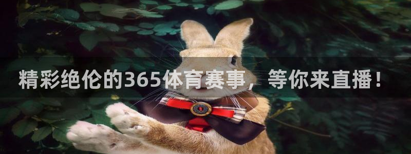 精彩绝伦的365体育赛事，等你来直播！