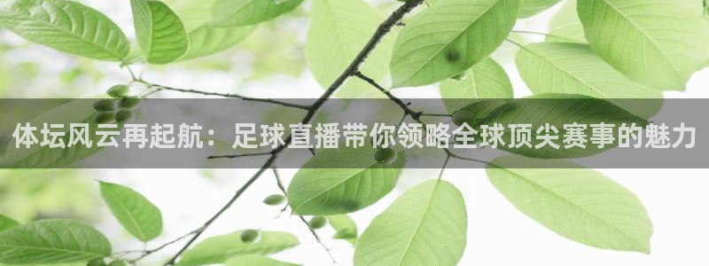 体坛风云再起航：足球直播带你领略全球顶尖赛事的魅力