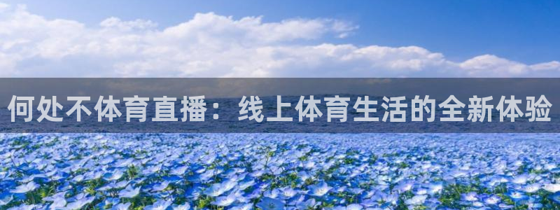 何处不体育直播：线上体育生活的全新体验