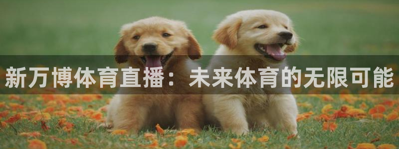 新万博体育直播：未来体育的无限可能