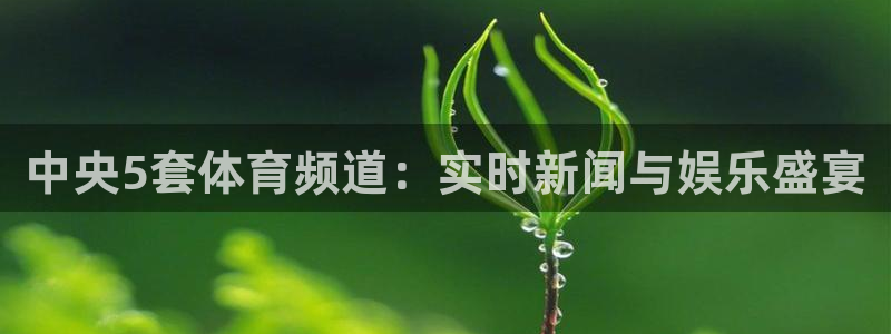 中央5套体育频道：实时新闻与娱乐盛宴