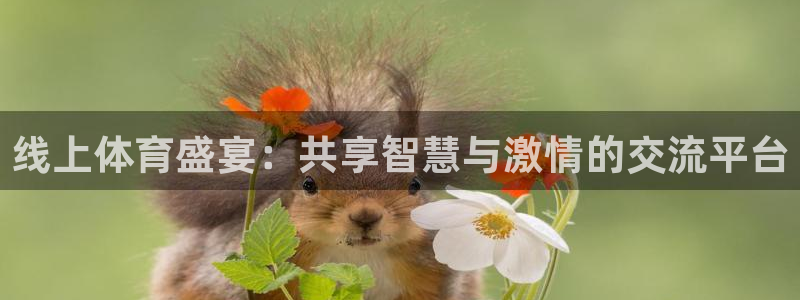线上体育盛宴：共享智慧与激情的交流平台