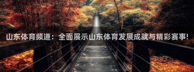 山东体育频道：全面展示山东体育发展成就与精彩赛事!