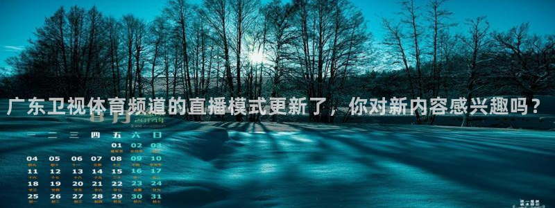 广东卫视体育频道的直播模式更新了，你对新内容感兴趣吗？