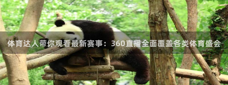 体育达人带你观看最新赛事：360直播全面覆盖各类体育盛会