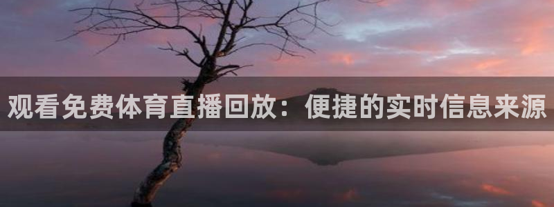 观看免费体育直播回放：便捷的实时信息来源