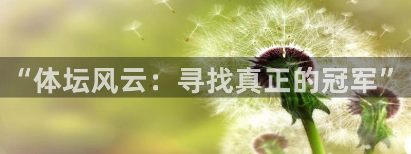 “体坛风云：寻找真正的冠军”