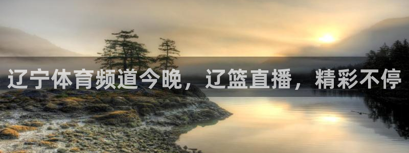 辽宁体育频道今晚，辽篮直播，精彩不停