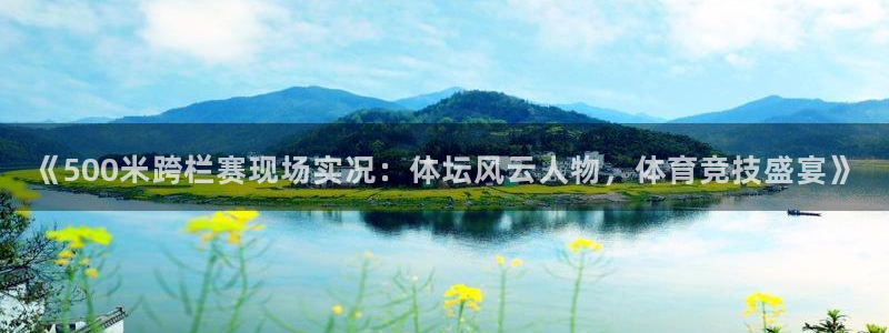 《500米跨栏赛现场实况：体坛风云人物，体育竞技盛宴》