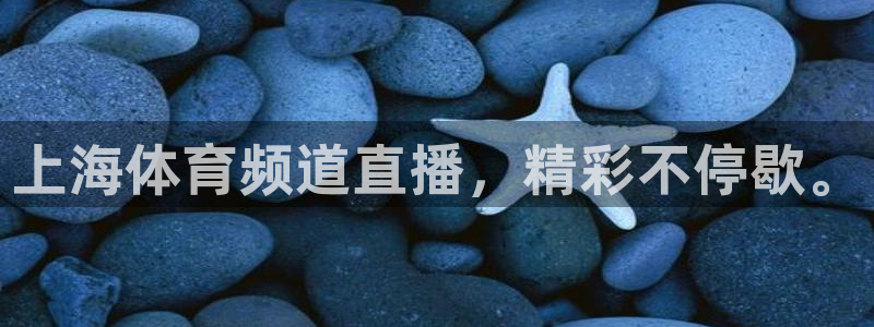 上海体育频道直播，精彩不停歇。