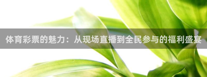 体育彩票的魅力：从现场直播到全民参与的福利盛宴