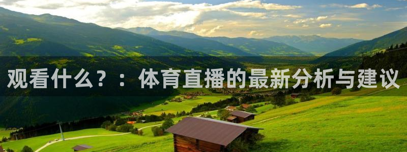 观看什么？：体育直播的最新分析与建议