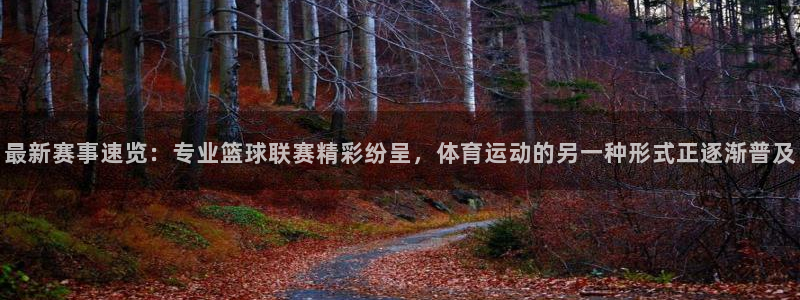最新赛事速览：专业篮球联赛精彩纷呈，体育运动的另一种形式正逐渐普及