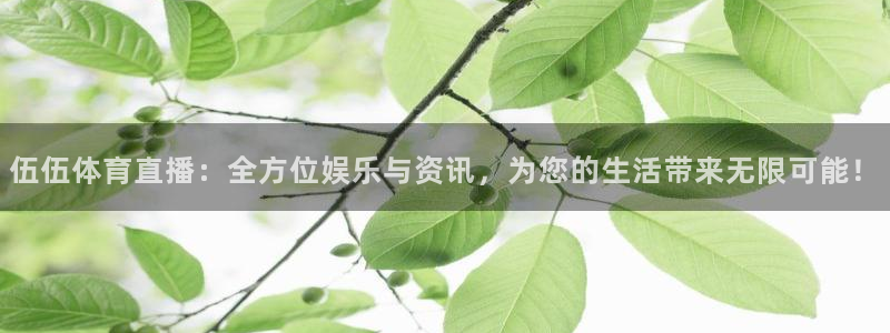 伍伍体育直播：全方位娱乐与资讯，为您的生活带来无限可能！