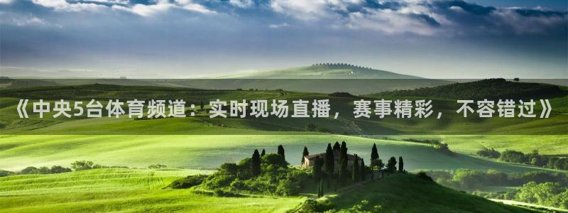 《中央5台体育频道：实时现场直播，赛事精彩，不容错过》