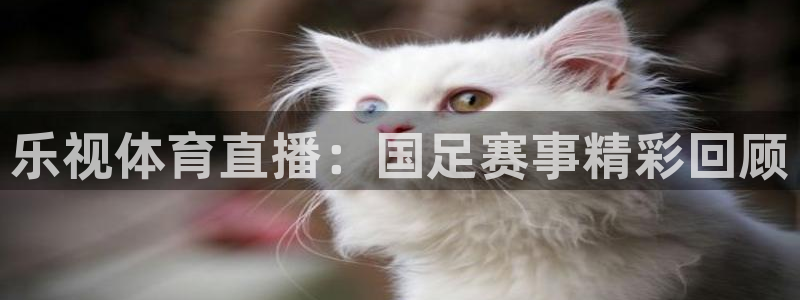 乐视体育直播：国足赛事精彩回顾