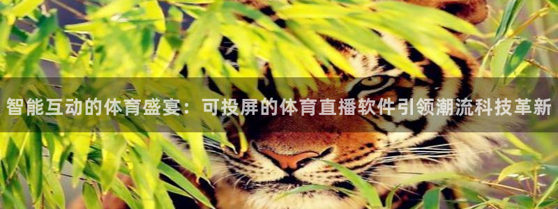 智能互动的体育盛宴：可投屏的体育直播软件引领潮流科技革新