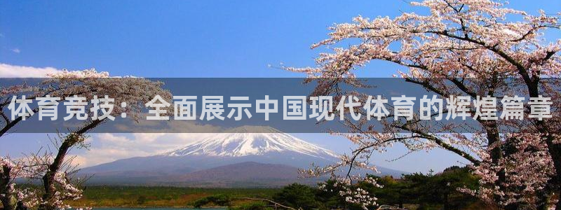 体育竞技：全面展示中国现代体育的辉煌篇章