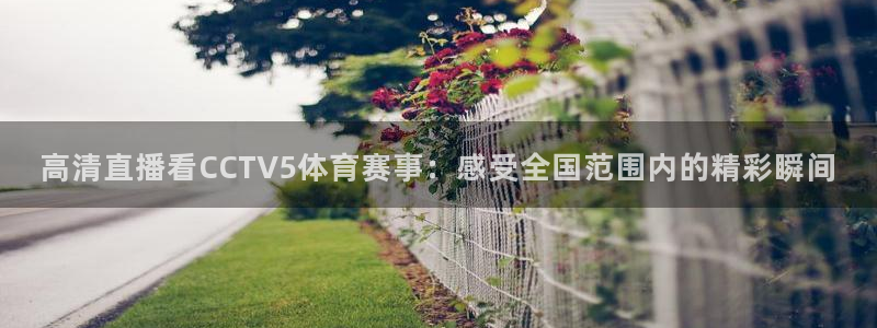 高清直播看CCTV5体育赛事：感受全国范围内的精彩瞬间