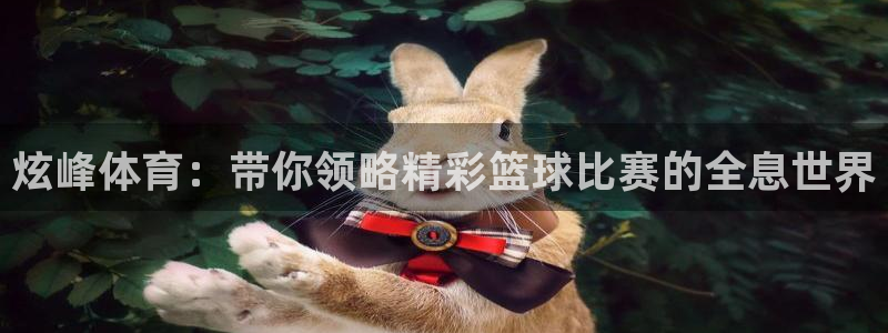 炫峰体育：带你领略精彩篮球比赛的全息世界