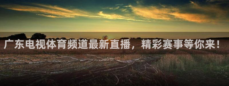 广东电视体育频道最新直播，精彩赛事等你来！