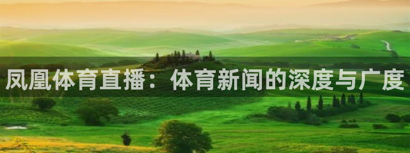 凤凰体育直播：体育新闻的深度与广度