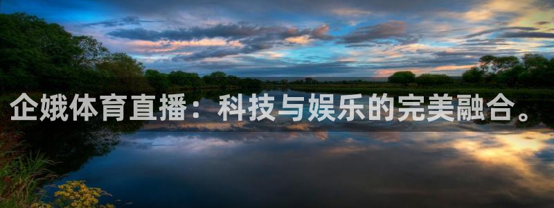 企娥体育直播：科技与娱乐的完美融合。