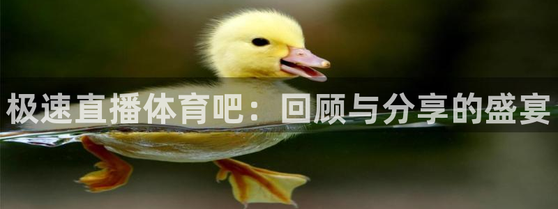 极速直播体育吧：回顾与分享的盛宴