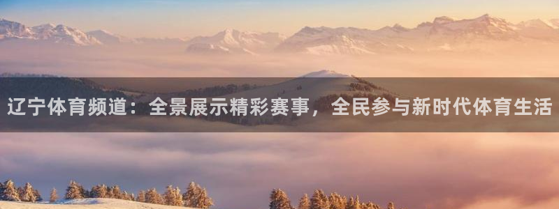 辽宁体育频道：全景展示精彩赛事，全民参与新时代体育生活