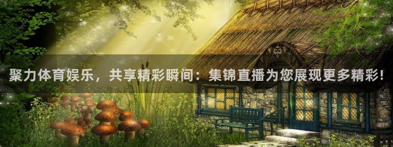 聚力体育娱乐，共享精彩瞬间：集锦直播为您展现更多精彩!