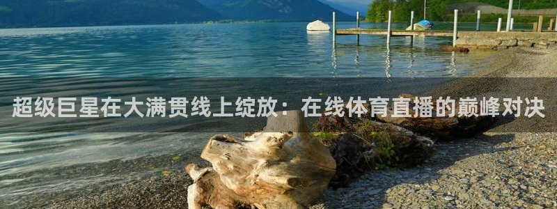 超级巨星在大满贯线上绽放：在线体育直播的巅峰对决