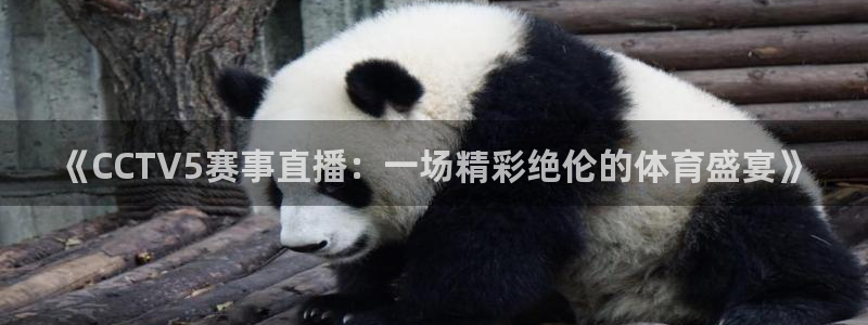 《CCTV5赛事直播：一场精彩绝伦的体育盛宴》